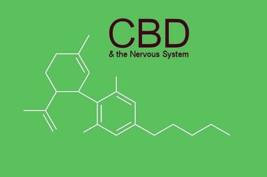 How-cbd-benefits-the-human-nervous-system-1