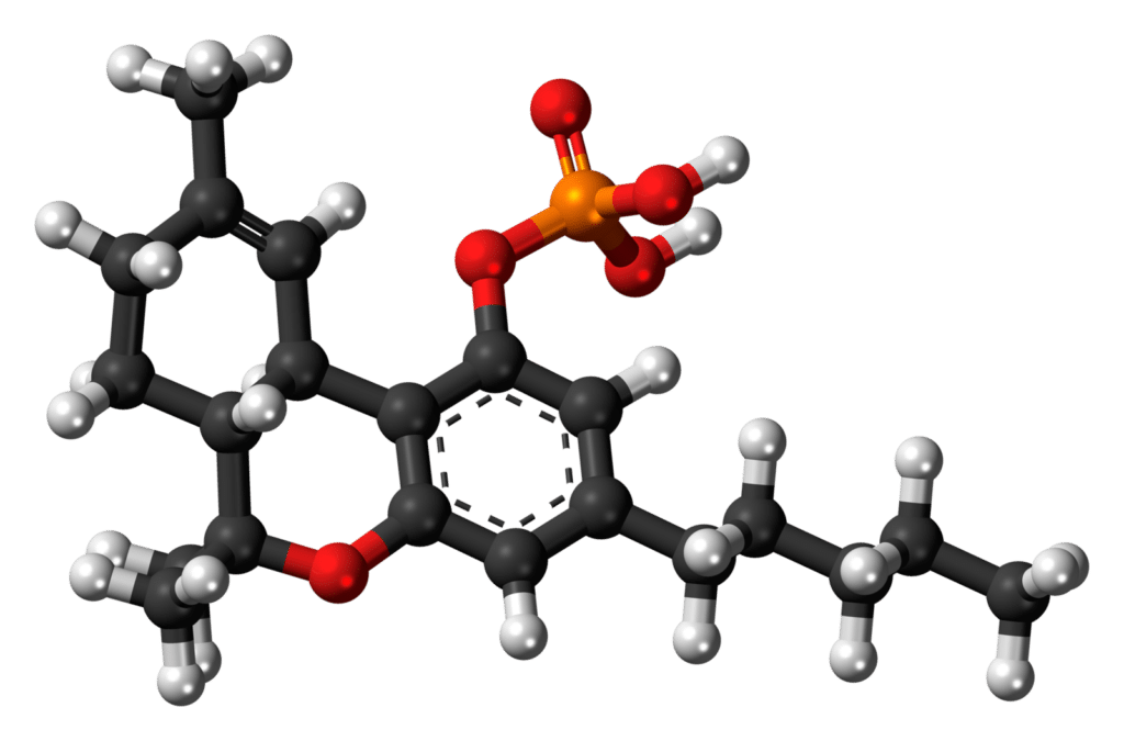 Hc-o-phosphate_3d_ball-1