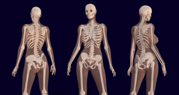 scientists reveal what cannabis does to your bones